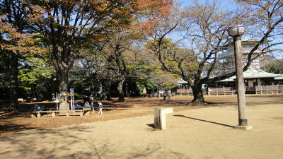 DSC04539.JPG