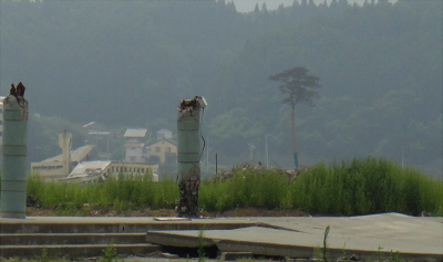 DSC05714.JPG