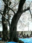 2008040814060000.jpg