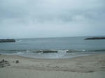 DSCF4031.jpg