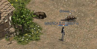 95020d09.jpeg