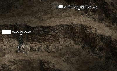 3b81518e.jpeg