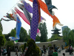 DSCN1330.JPG