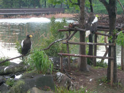 DSCN1586.JPG