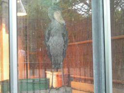 DSCN1549.JPG