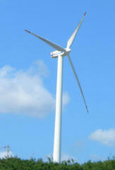 wind2.jpg