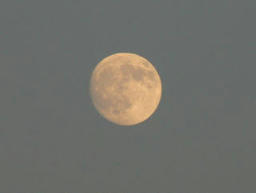 moon.jpg
