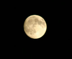 moon2.jpg