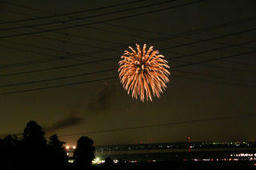 fireflower1.jpg