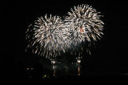 fireflower2.jpg