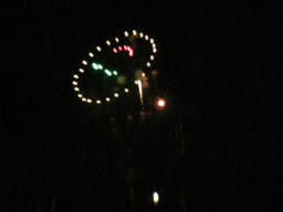fireflower4.jpg
