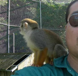 122969326304016416427_monkey.jpg