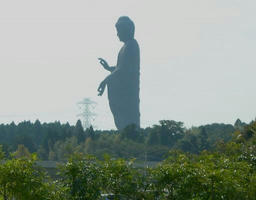 125275792282816422410_usiku2.jpg