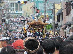 125379410054916313028_danjiri2.jpg
