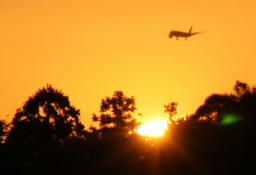 sun0704.jpg