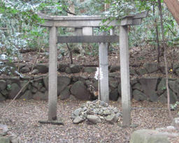mitutorii.jpg