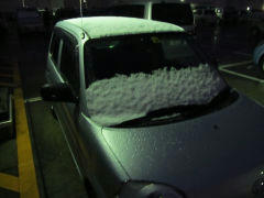 snow20110307.jpg