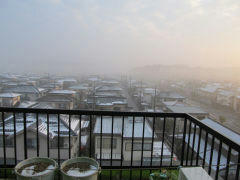 snow20110307_2.jpg