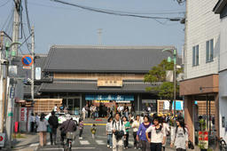 sawa2011_4.jpg