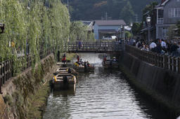 sawa2011_6.jpg