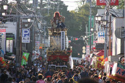 sakura2011.jpg