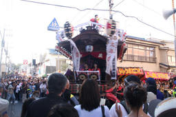 sakura2011_2.jpg