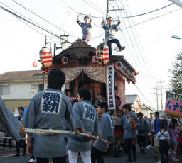 sakura2011_3.jpg