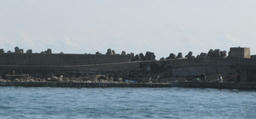 iioka2011_3.jpg