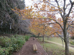 kawa2011_11.jpg