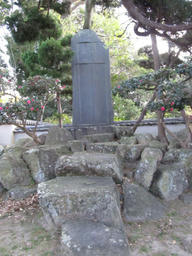 tamanegi.jpg