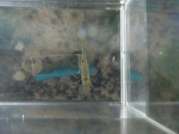 imba20120323_3.jpg