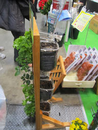 garden20120323_3.jpg