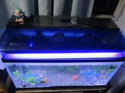 light_on20130402.jpg
