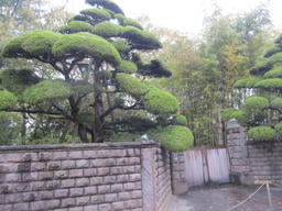 roke20120416b.jpg