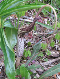 ura20120422.jpg