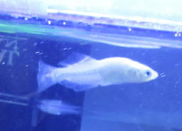 ao20120429.jpg