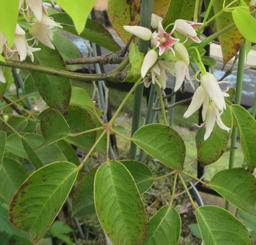 mube20120430.jpg