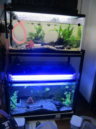 suisou20120505.jpg