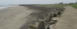 sand20120520c.jpg