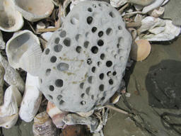 byoubu20120520a.jpg