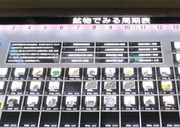tisitu20120527c.jpg