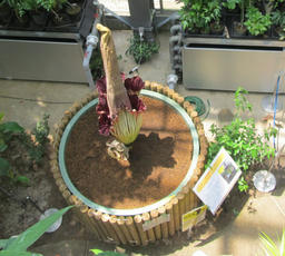 ts20120527c.jpg