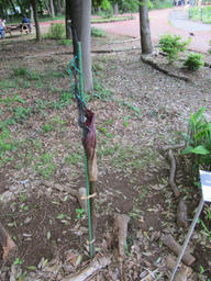 ts20120527d.jpg