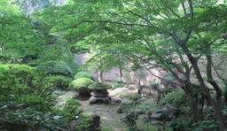 hatakeyama20120603.jpg