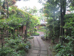 hatakeyama20120603b.jpg