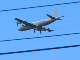jiei20120611.jpg