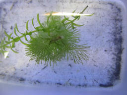 me20120617b.jpg