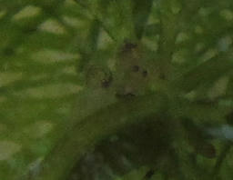 me20120617.jpg