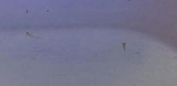 me20120617a.jpg