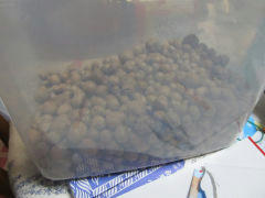 muka2012092.jpg
